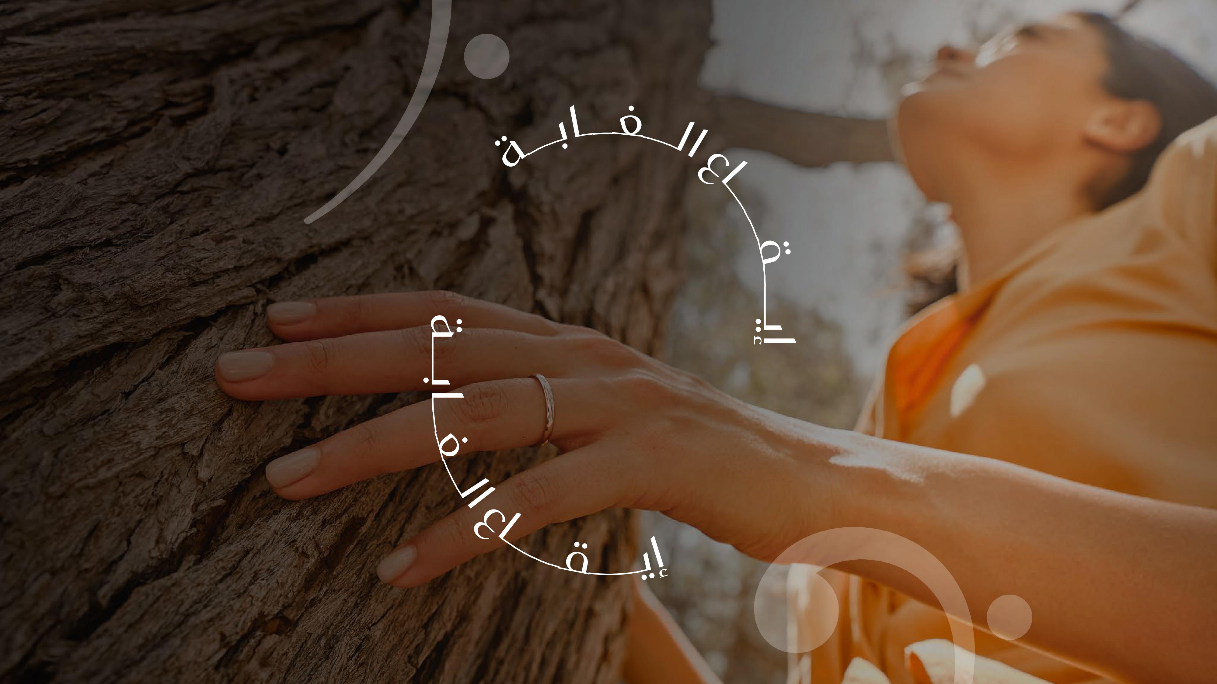 Majid Al Futtaim Developments brochure visual 13